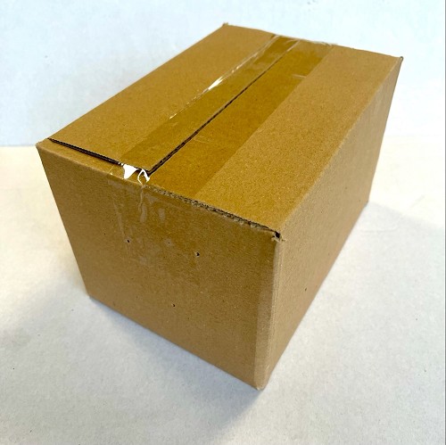 Sprinkhaan Locusta maat 4 bulk 100 st